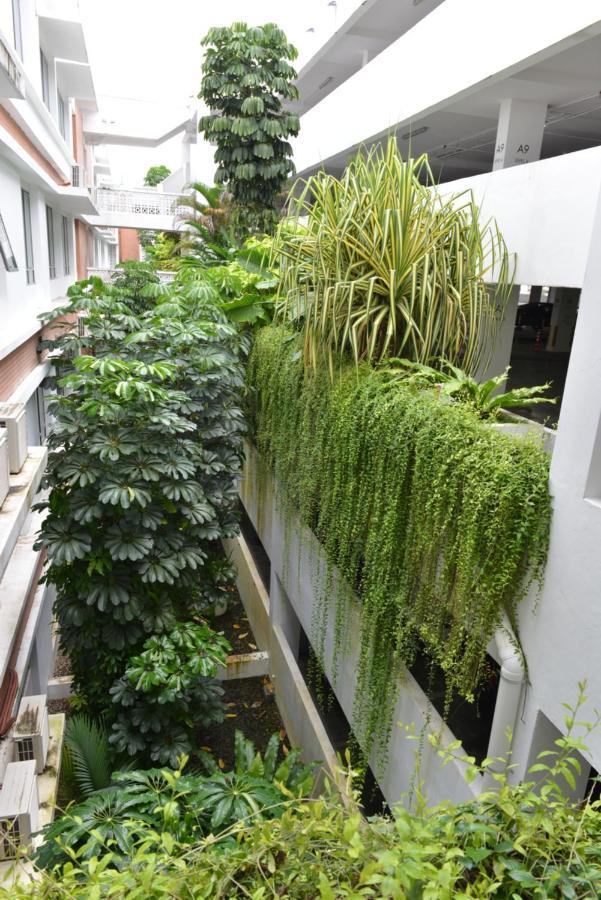 My Daily Homestay - Miri Times Square Luaran gambar